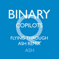 “Binary (CoPilots Flying Through Ash Remix)” artwork
