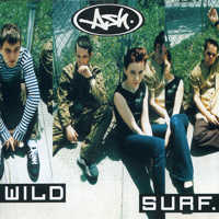 “Wild Surf - Single” artwork