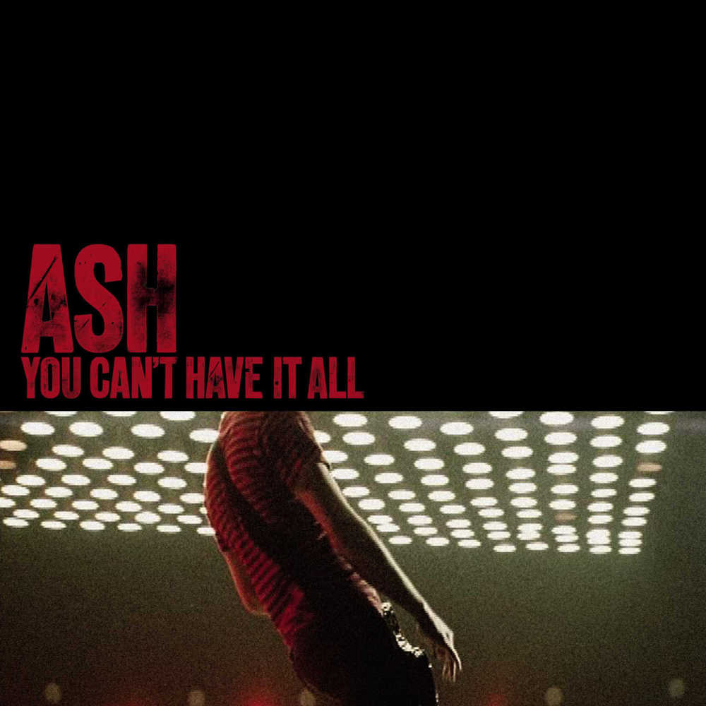 “You Can’t Have It All - Single” artwork