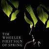 “First Sign of Spring - Single” artwork